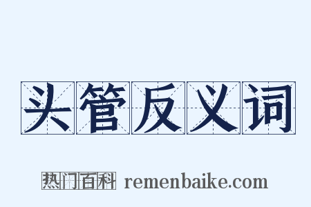 头管反义词是什么意思的图片